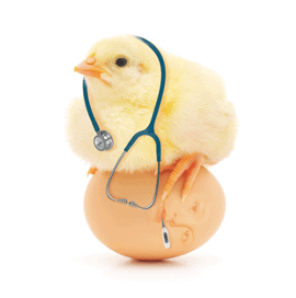 Design vs. Human Factors: Medical Design’s Chicken and Egg